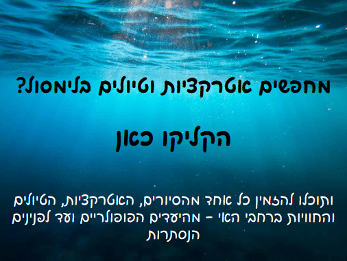 טיולים ואטרקציות בלימסול